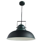 Светильник Arte Lamp MARTIN A5213SP-1BG